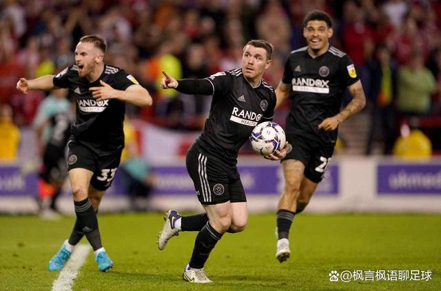 刚果足球冠军赛事结果揭晓，冠军闪耀赛场的简单介绍