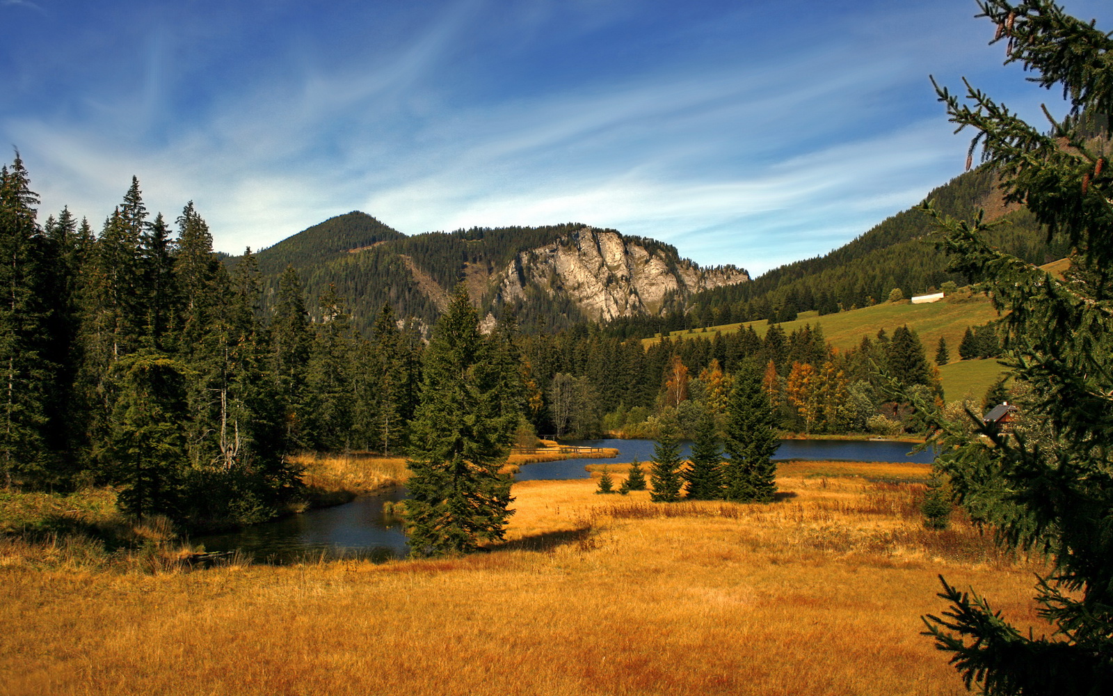 独步西决之夜，伦纳德的沉默交响曲