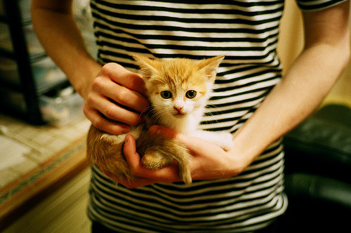 葡萄牙巅峰对决胜出国际米兰，世界俱乐部排名争夺战的焦点战全解析