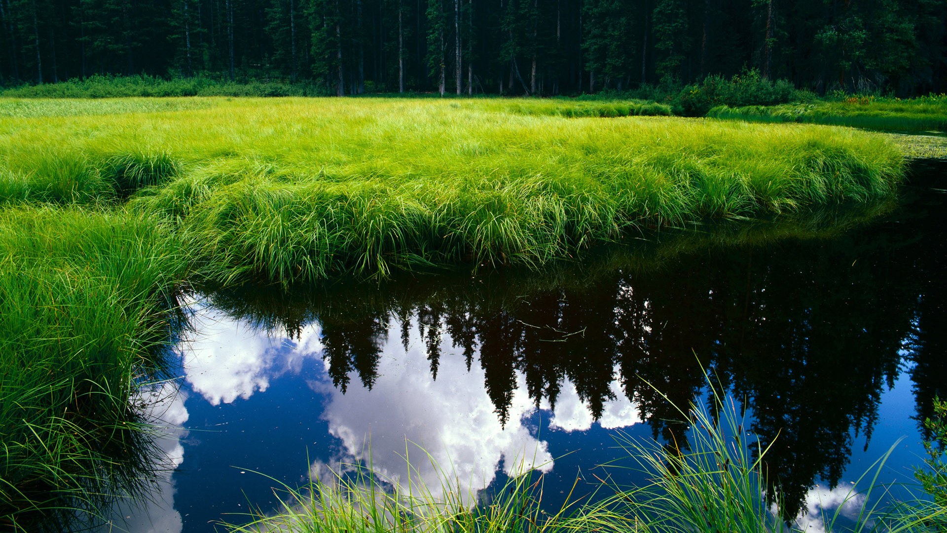 开云体育app-库尔图瓦神扑挽狂澜，冰岛加时铸传奇—足球之夜的双重奏