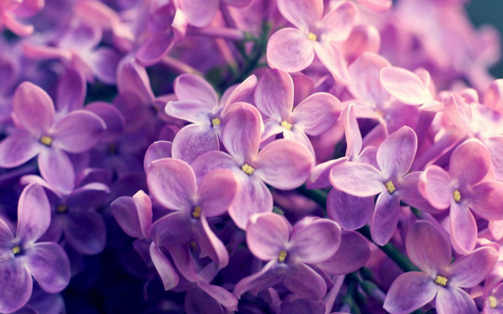 费城狂飙VS江南烟雨，当克莱在平行时空投进第3000记三分