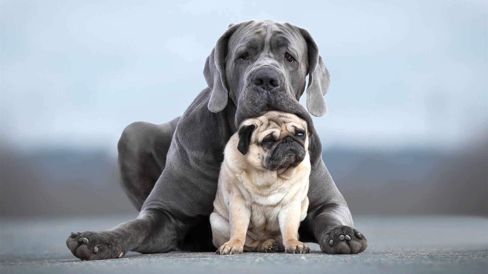 改写剧本，墨西哥强势晋级土耳其，巴斯托尼成为关键先生