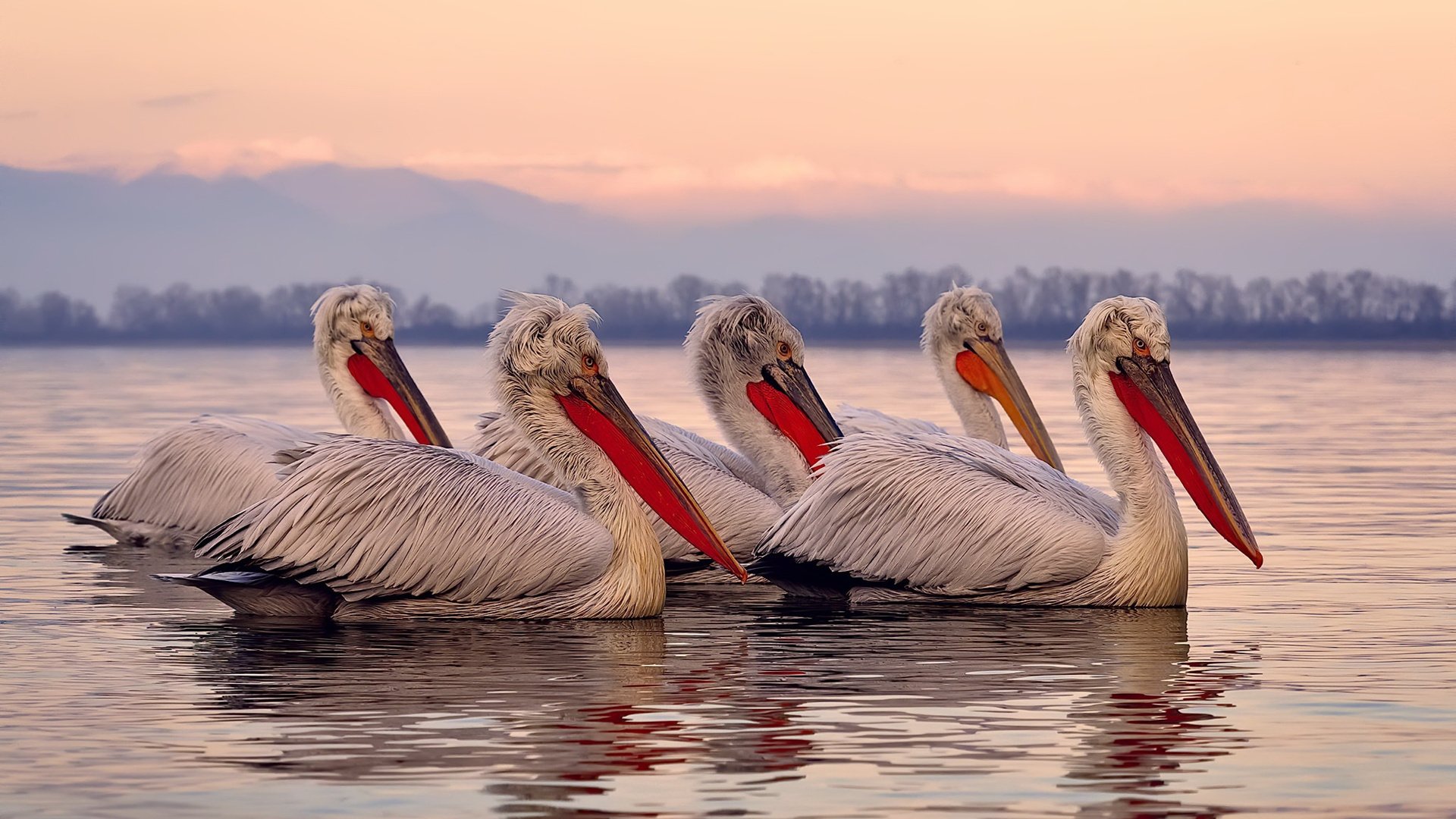 隐形的脊梁，当巴尔韦德于无声处听惊雷