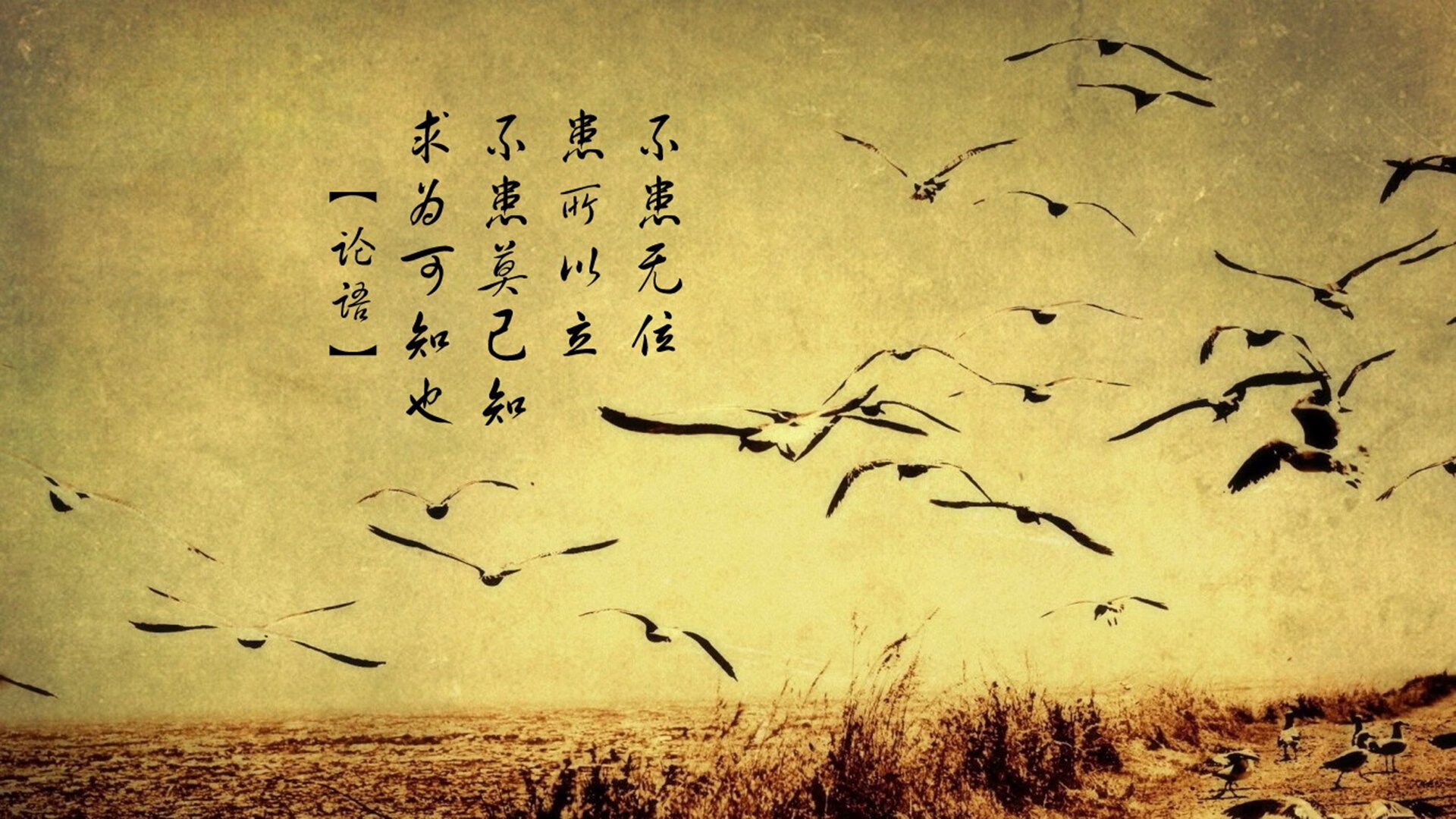 幽灵车手，F1街道赛之夜，克瓦拉茨赫利亚在绝望压力下的史诗爆发