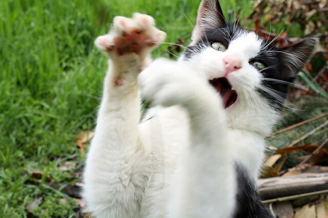 绝杀的双面，杜兰特的时间沙漏与老鹰的最后一毫米