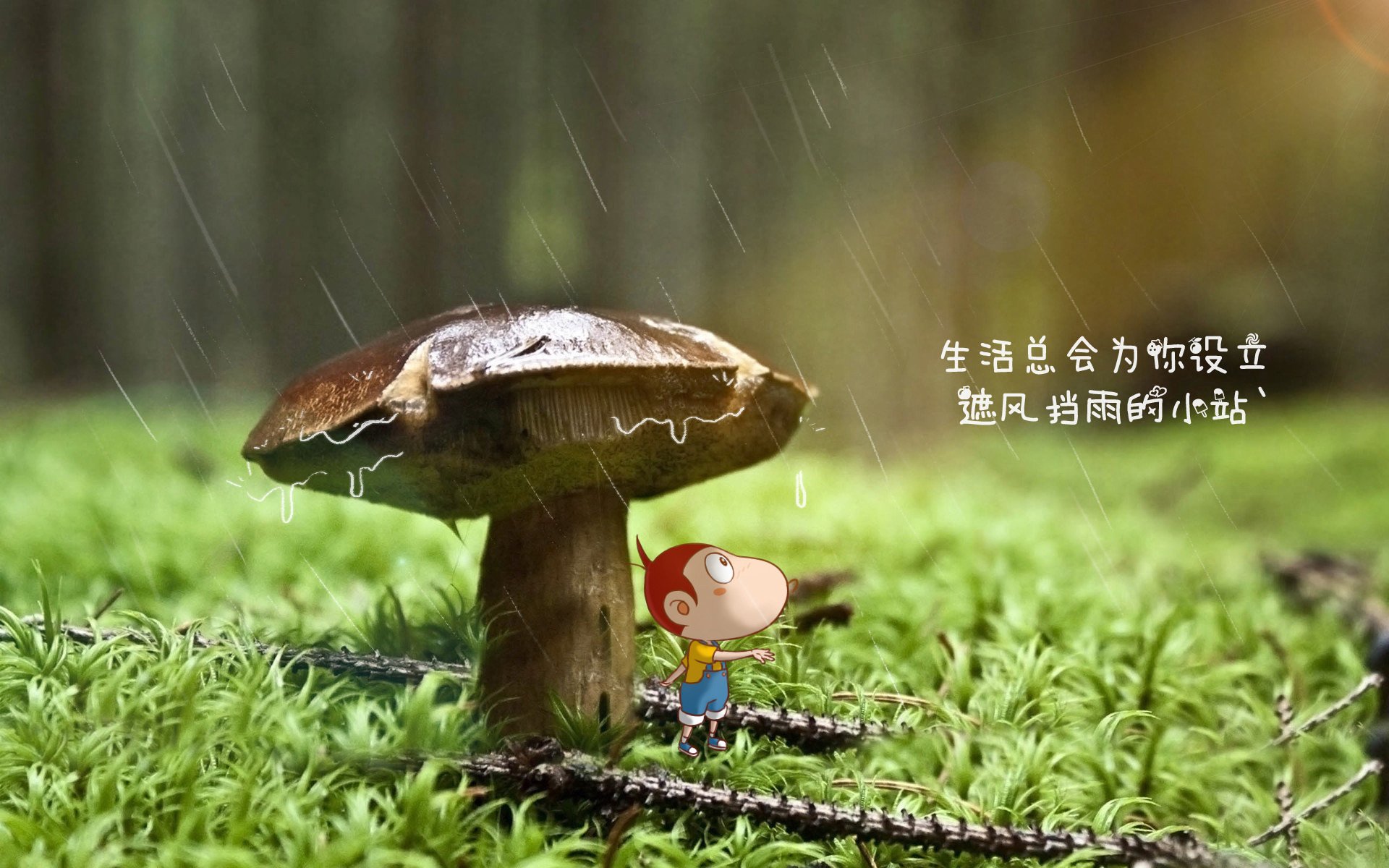 沙漠风暴掀翻太极虎，阿联酋险胜韩国，三笘薰独舞难救主，控球优势成唯一胜道